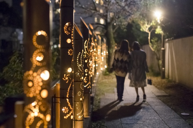 伊東温泉竹あかり44