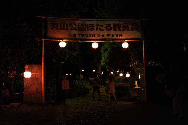 ほたる観賞会３