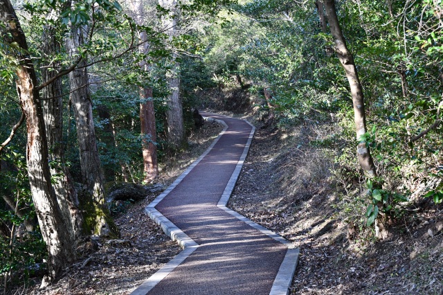 一碧湖遊歩道（冬）