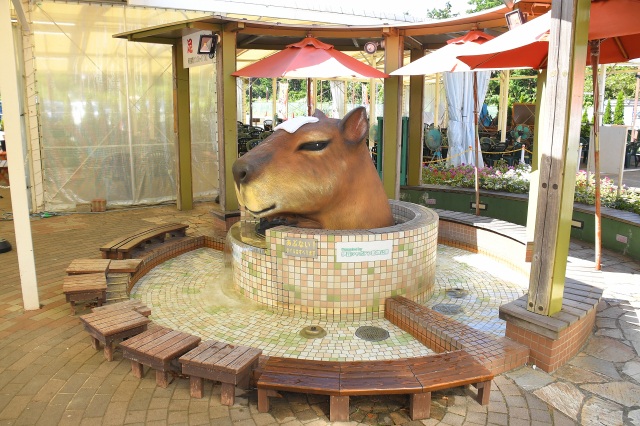 伊豆高原旅の駅ぐらんぱるぽーと3