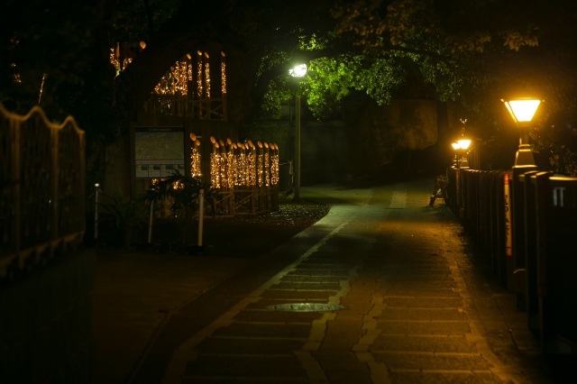 伊東温泉竹あかり9