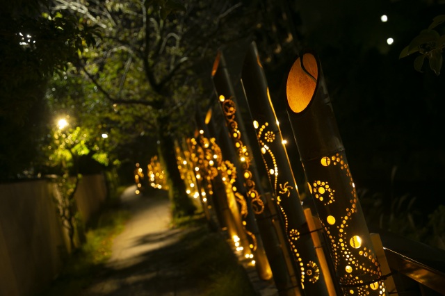 伊東温泉竹あかり22