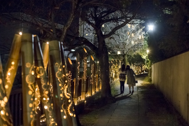 伊東温泉竹あかり43