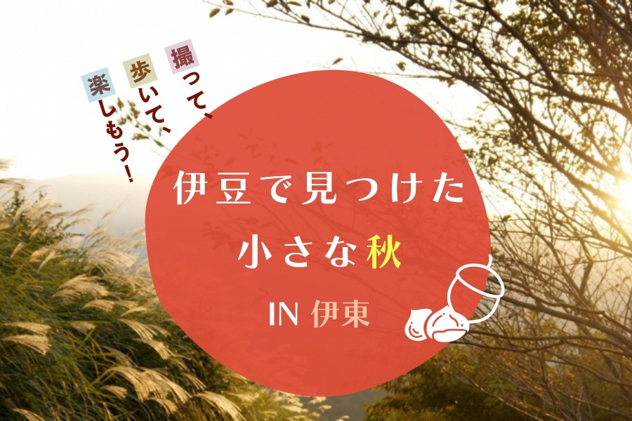 撮って、歩いて、楽しもう!<br />
伊豆で見つけた小さな秋 in 伊東