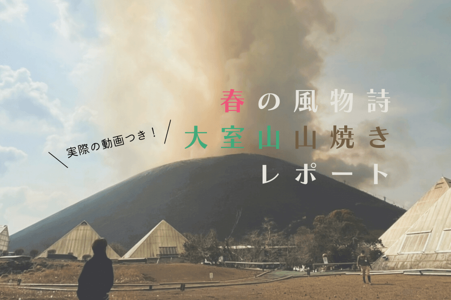 【2024年最新版】一年に一度しか見られない！大室山 山焼きレポート