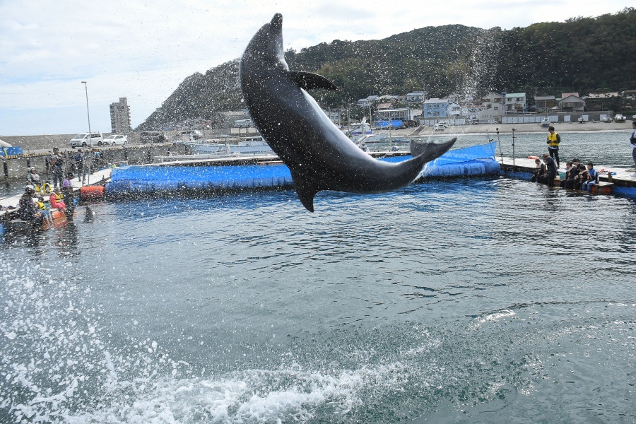 大迫力ジャンプ！