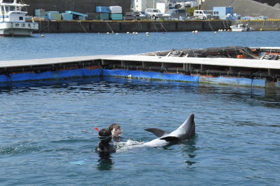 なんと背泳ぎまで…