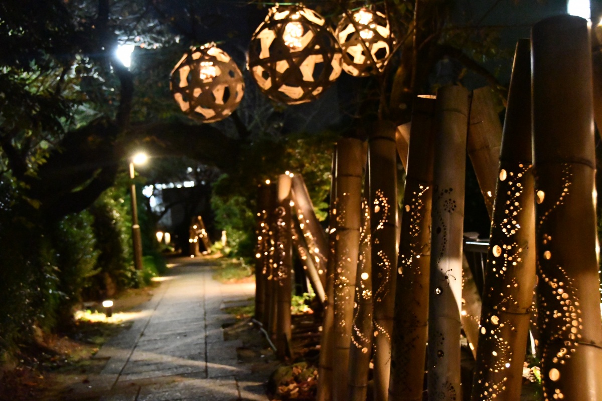 松川遊歩道を灯す 伊東温泉竹あかり