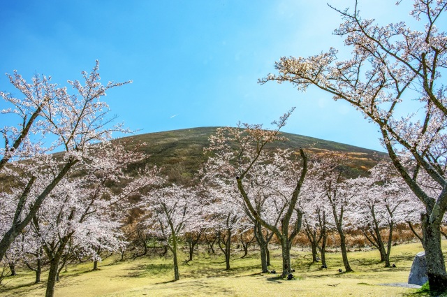 大室山を臨む