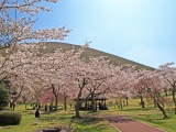 風情ある東屋