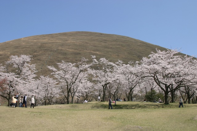 広場で優雅に